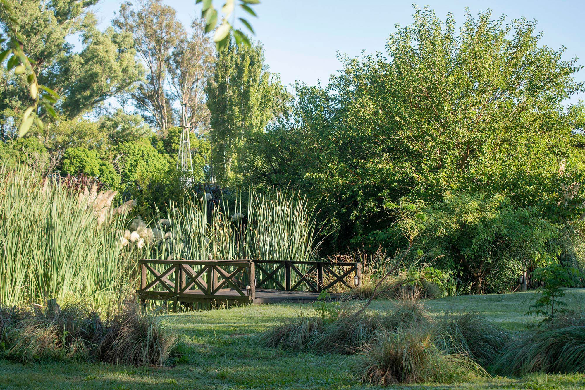 Puente de madera sobre el espejo de agua, con juncos, plumas de cortadera y un molino de campo asomando entre los árboles.
