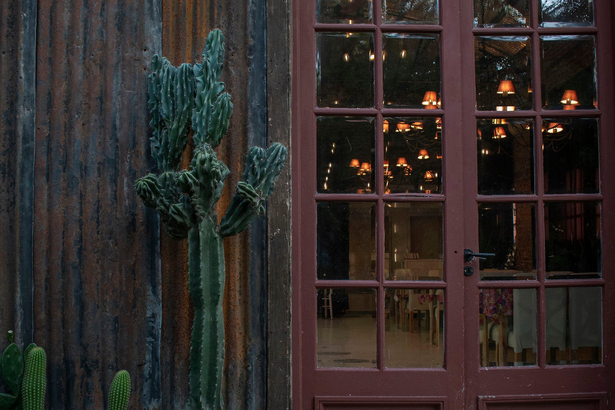 Comedor de noche con las mesas servidas, luz cálida y ventanales que reflejan el interior.