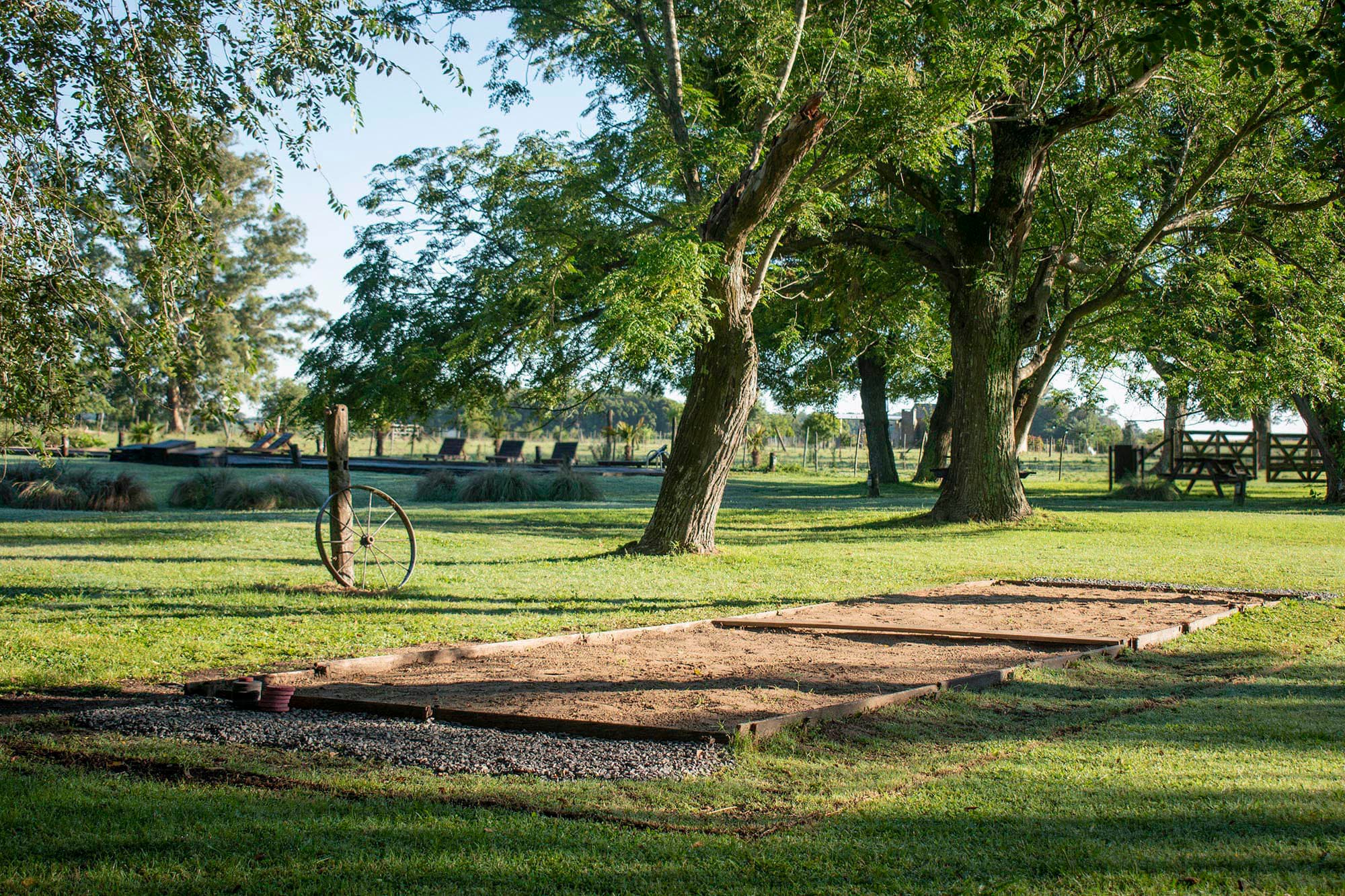 Extensión de parque con pasto corto y árboles espaciados, sin cercos a la vista, bajo la luz suave de la tarde.